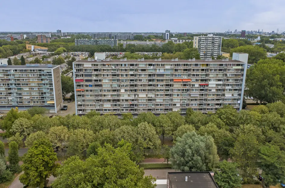 Holysingel 128