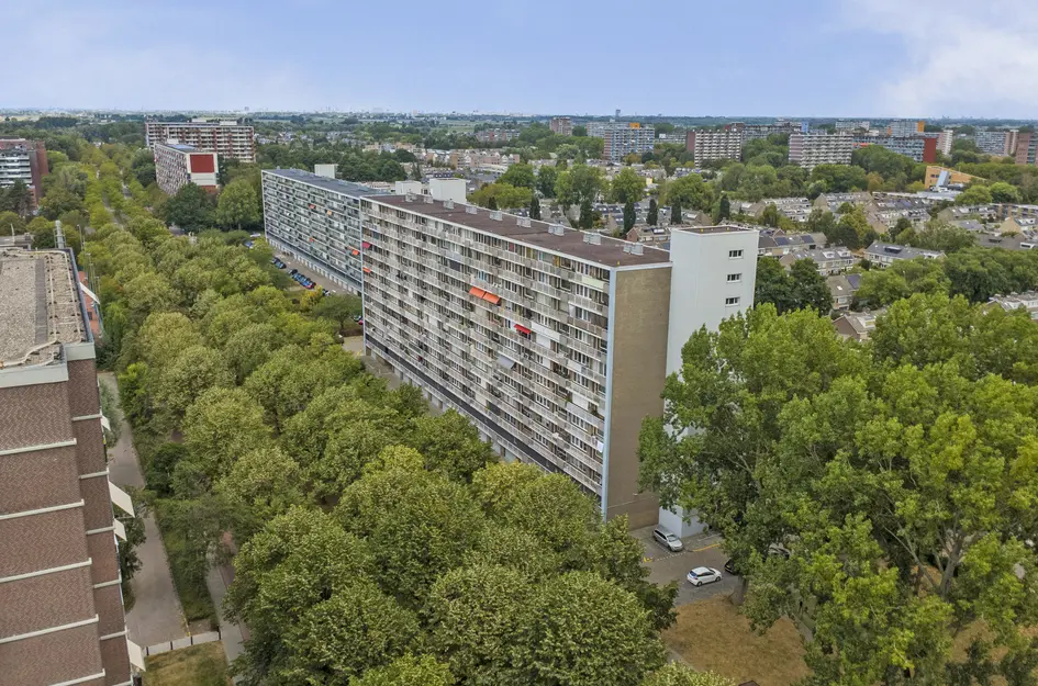 Holysingel 128