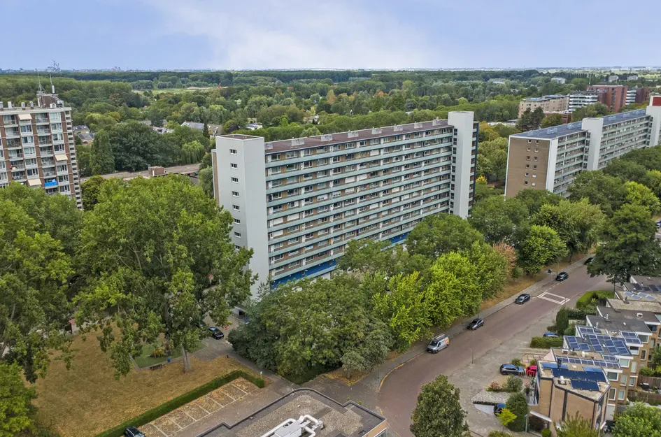 Holysingel 128