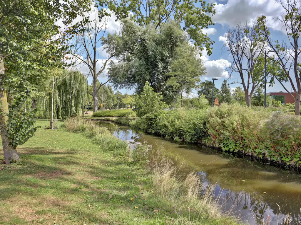 Ribeslaan 30, SCHIEDAM