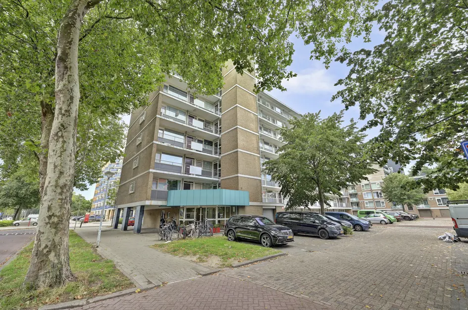 Albert van Raalteplein 128