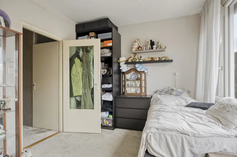 Zilverdistel 13