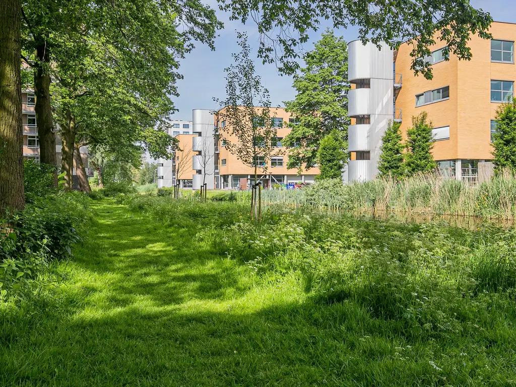 Godijn van Dormaalstraat 140, ROTTERDAM