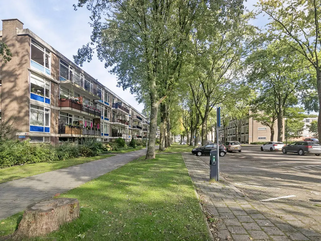 Schoonegge 315, ROTTERDAM