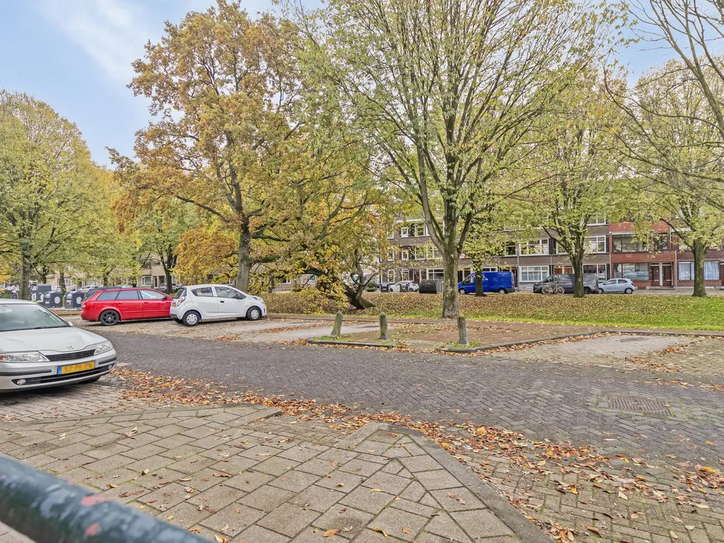 Buys Ballotsingel 88, SCHIEDAM