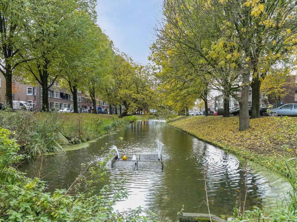 Buys Ballotsingel 88, SCHIEDAM