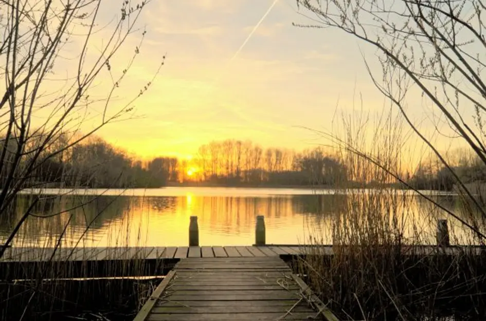 Polderlaan 19