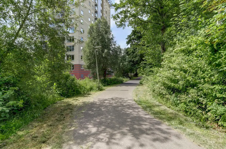 Goudenregenplein 254