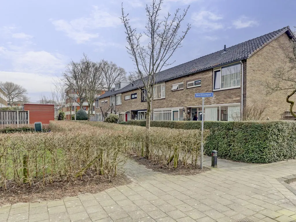 Boterbloempad 4, SPIJKENISSE