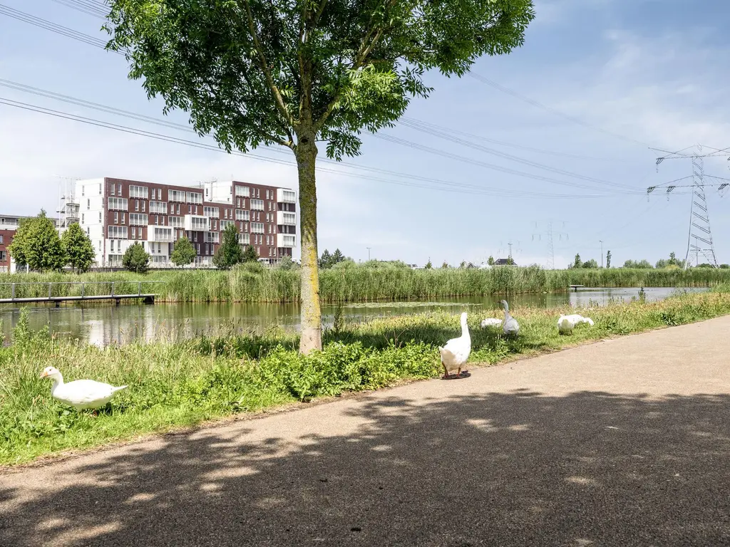 Bernard Canterstraat 23, ROTTERDAM