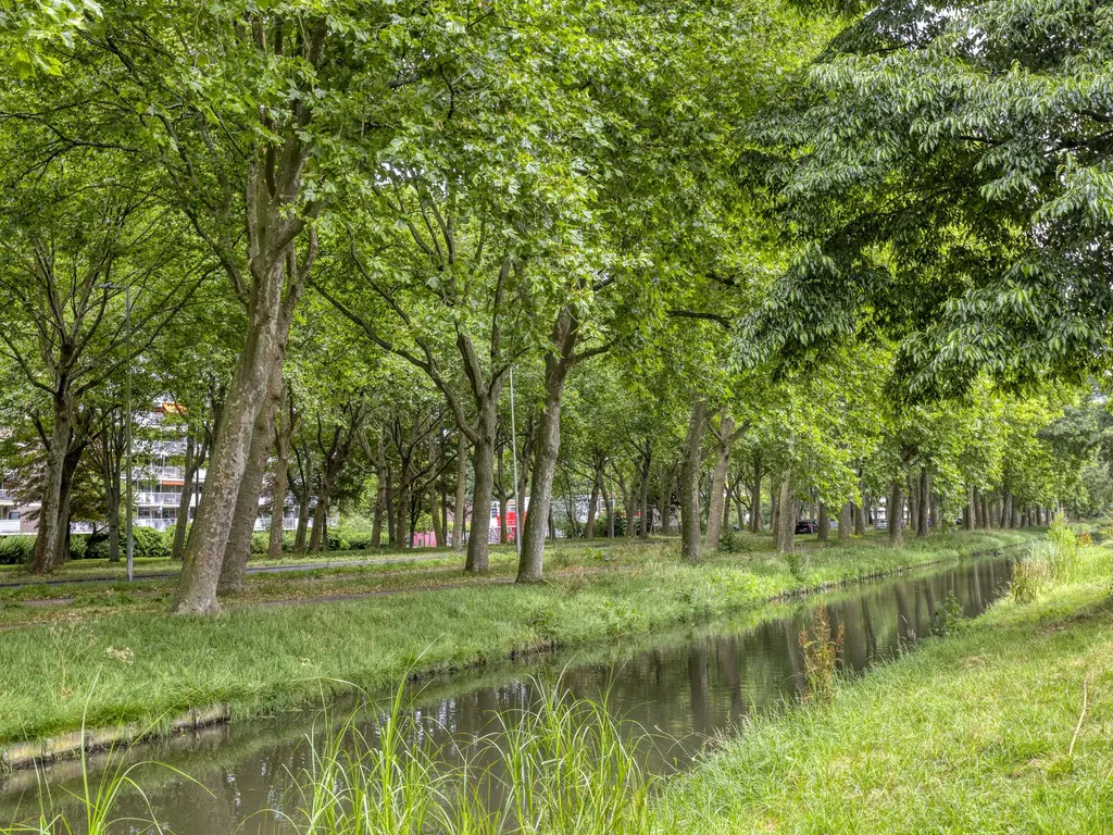 Zomerdoorn 24, ROTTERDAM