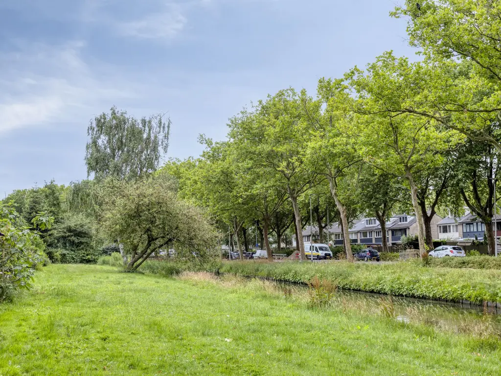 Zomerdoorn 24, ROTTERDAM