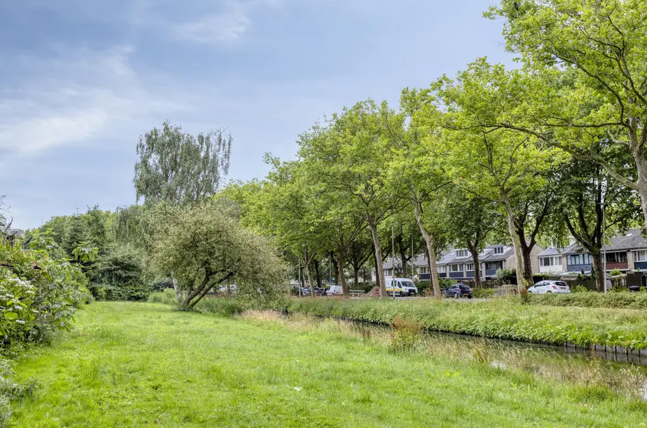 Zomerdoorn 24