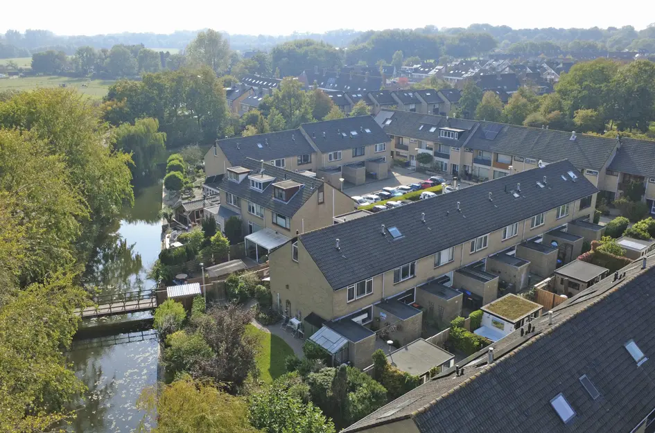 Meerkoet 15