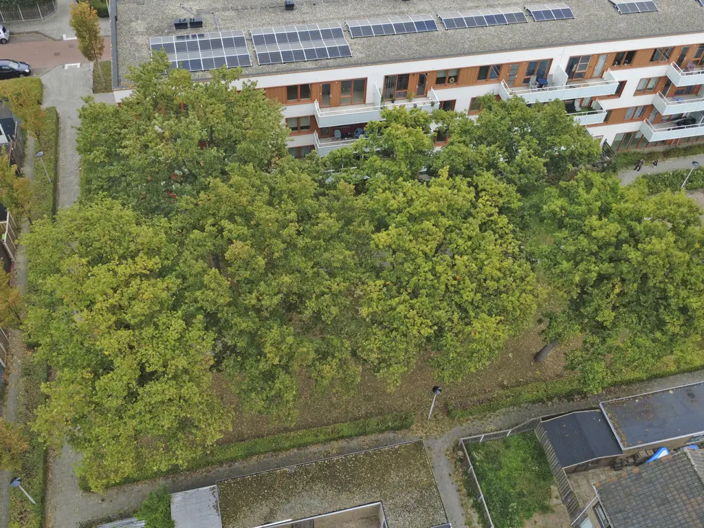 Boterbloempad 10, SPIJKENISSE