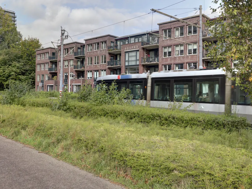 Bospad 75, SCHIEDAM