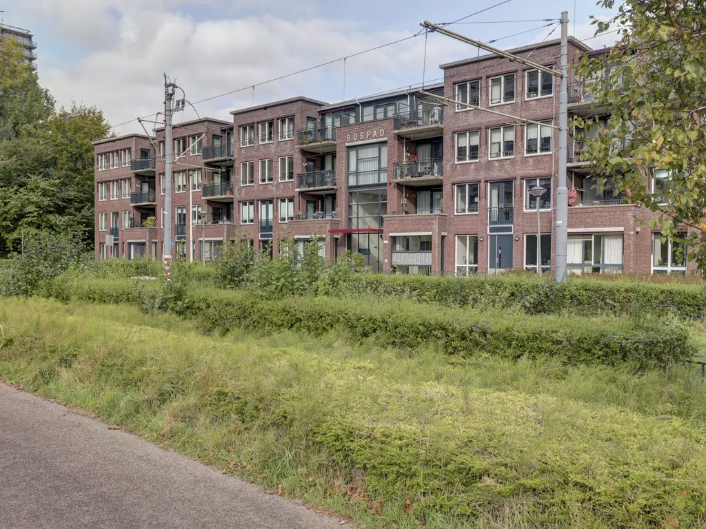 Bospad 75, SCHIEDAM