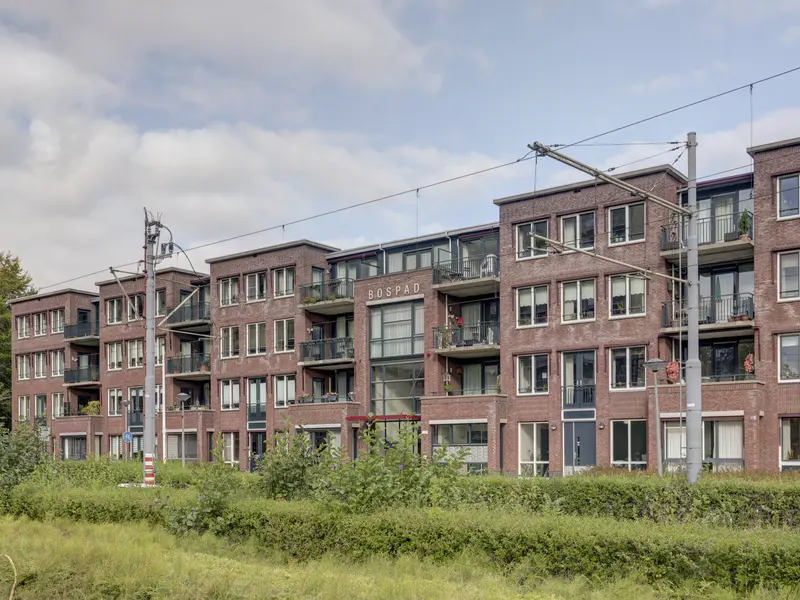 Bospad 75, SCHIEDAM