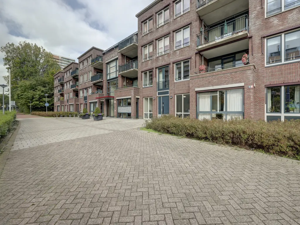 Bospad 75, SCHIEDAM