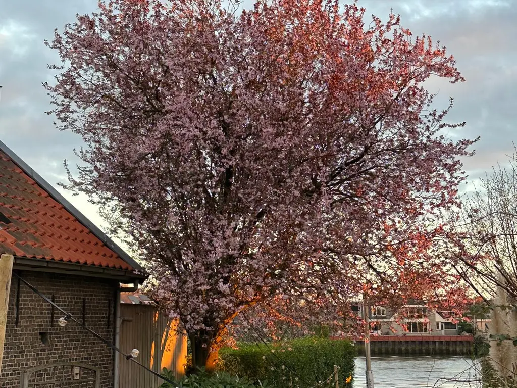 Dorpsstraat 140, CAPELLE AAN DEN IJSSEL