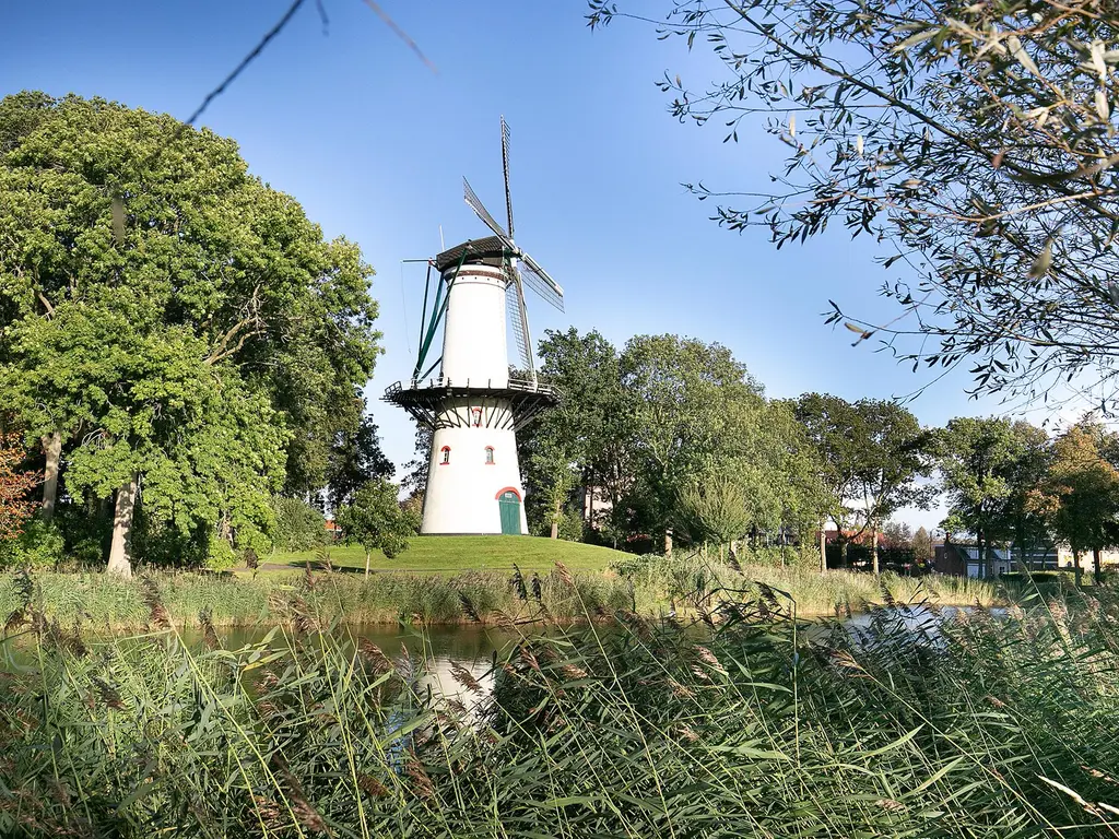 Striene, Tholen