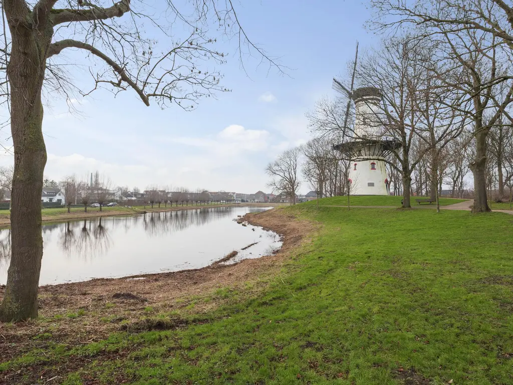 Striene, Tholen