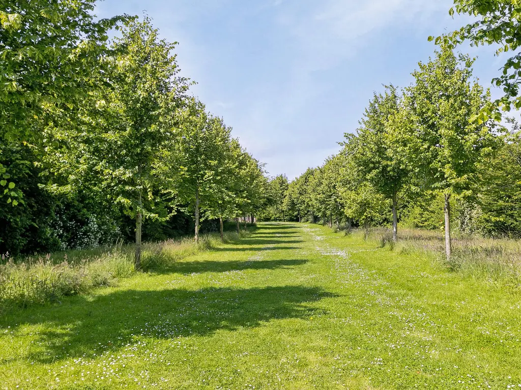 Lindelaan 1, SINT-MAARTENSDIJK