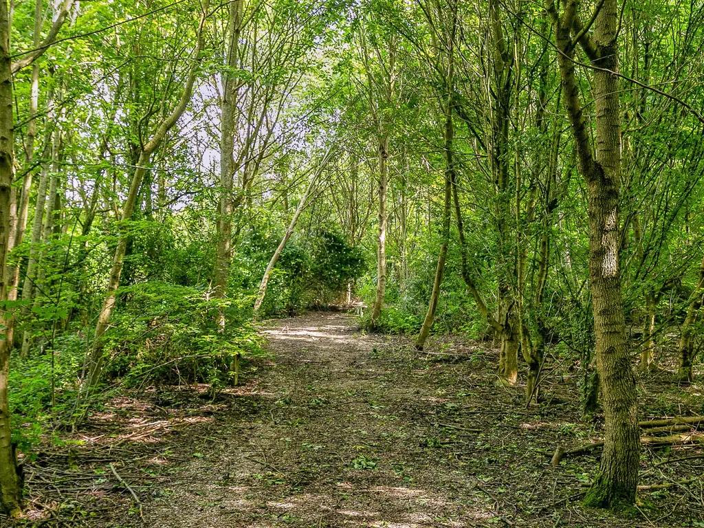 Lindelaan 1, SINT-MAARTENSDIJK