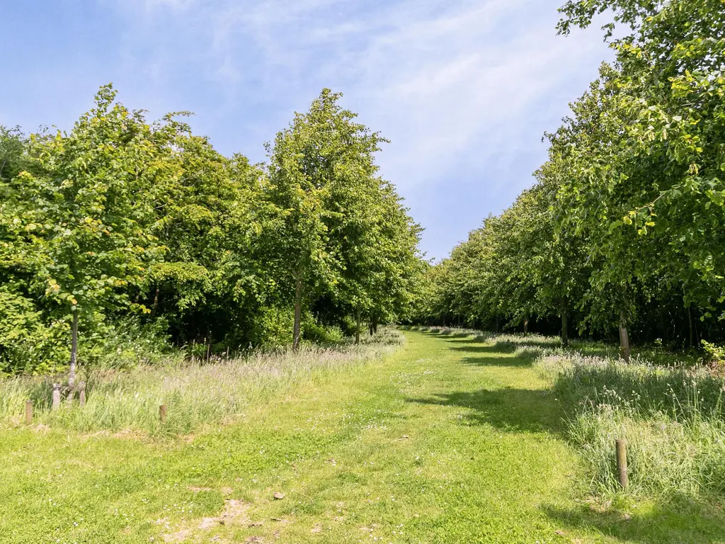 Lindelaan 1, SINT-MAARTENSDIJK