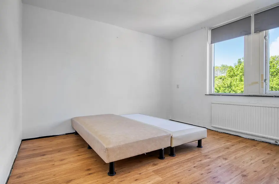 Tulpstraat 18
