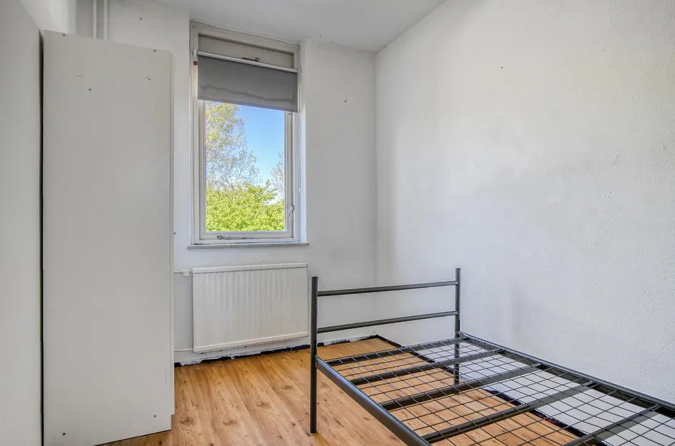 Tulpstraat 18