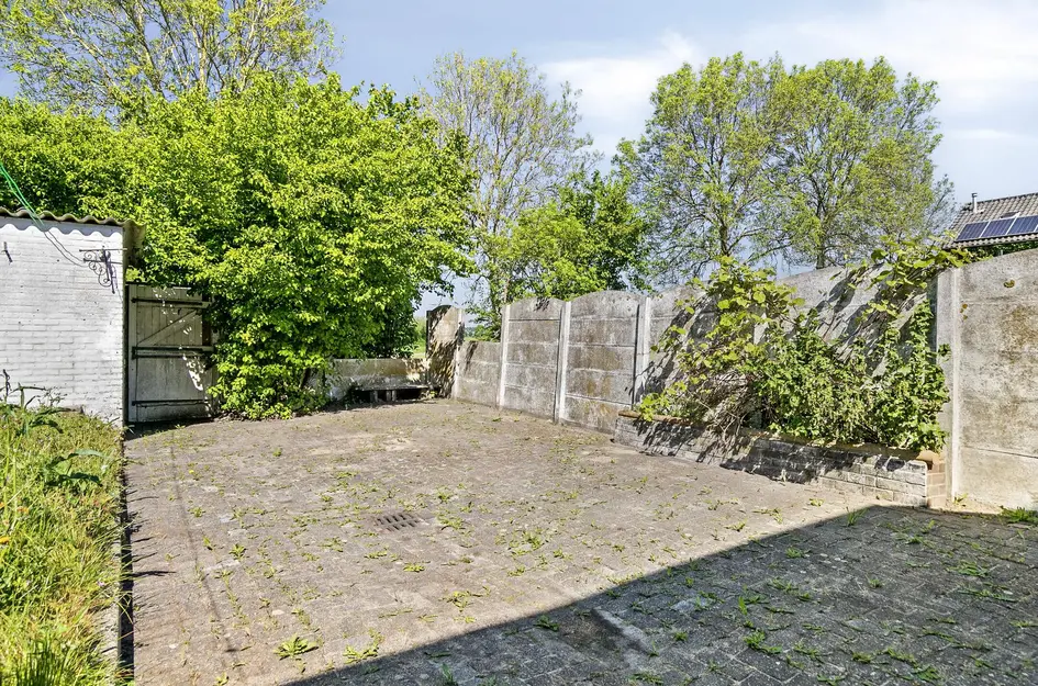 Tulpstraat 18