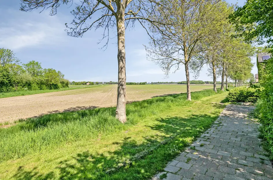 Tulpstraat 18