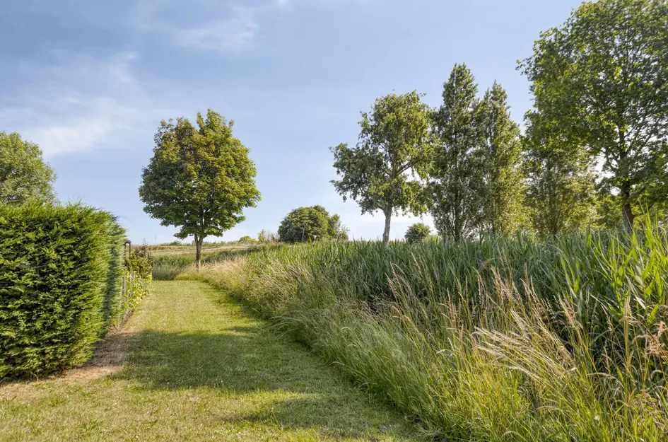 Philips van Dorpstraat 46