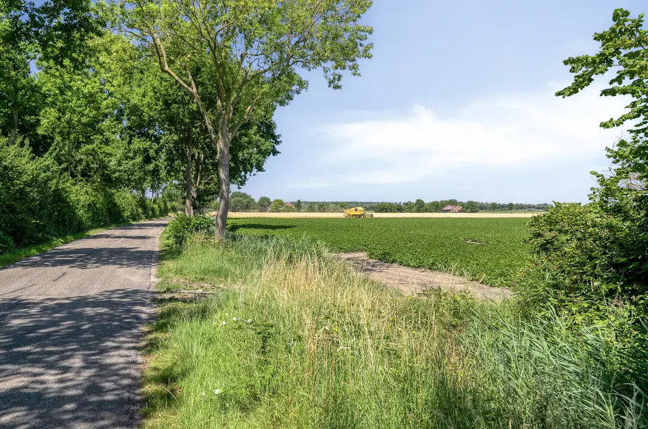 Hogeweg 47