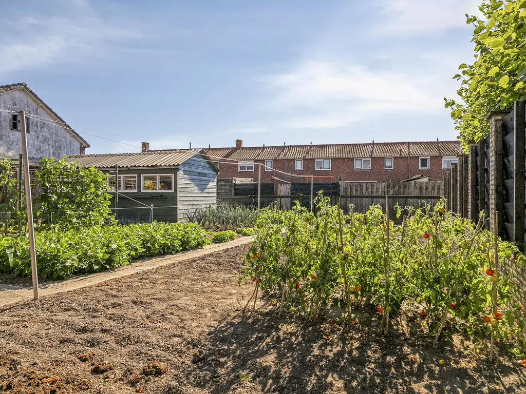 Schoolstraat 12, SINT-ANNALAND