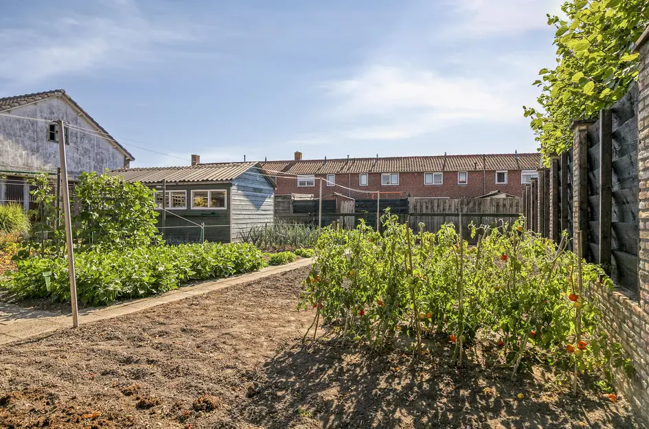 Schoolstraat 12