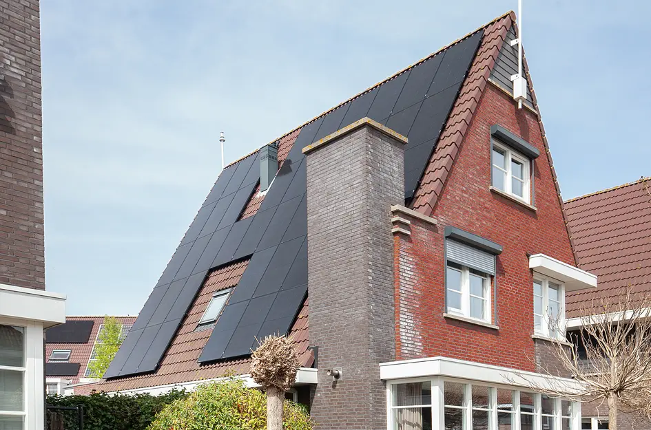Windsingel 46