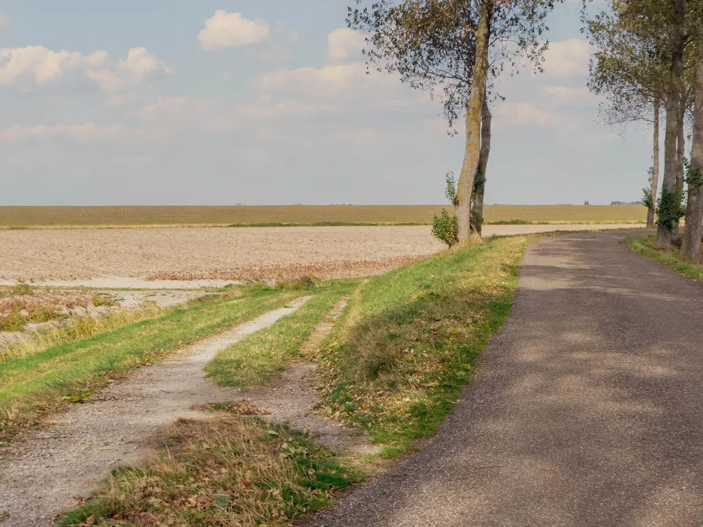 Buurtweg 99, STAVENISSE