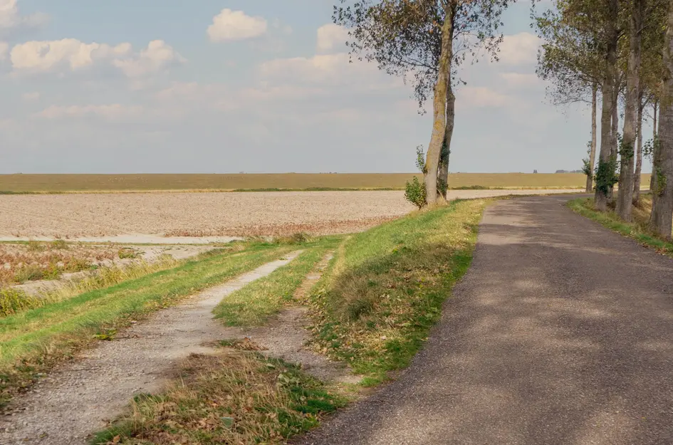 Buurtweg 99