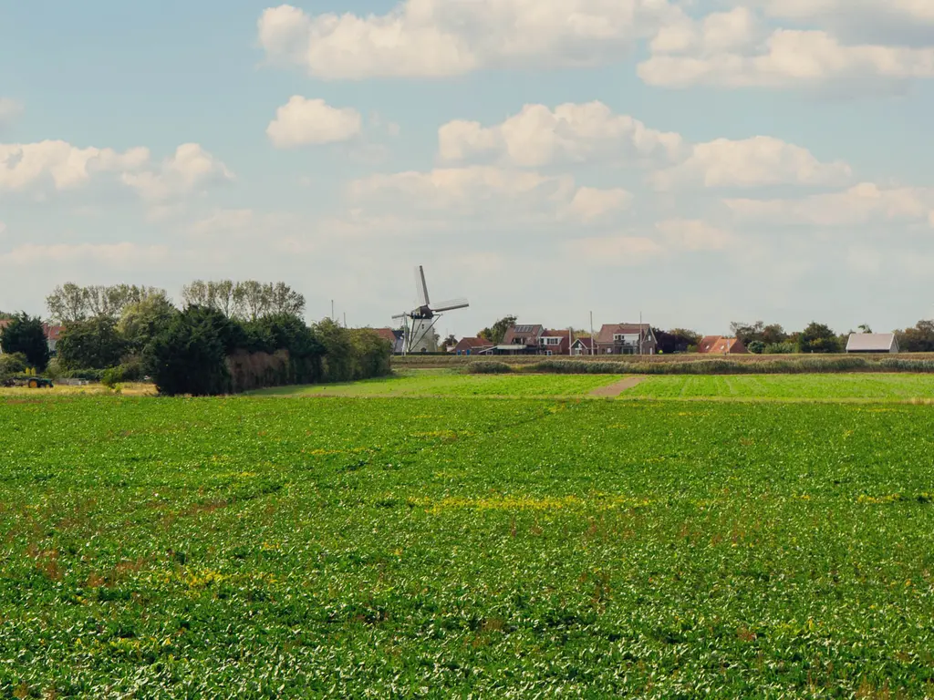 Buurtweg 99, STAVENISSE