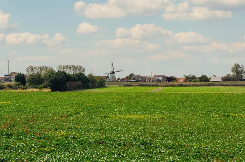 Buurtweg 99