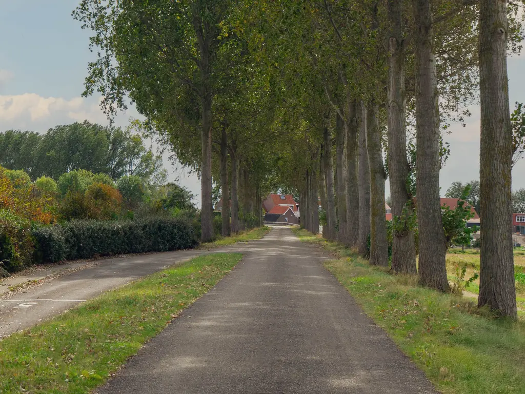 Buurtweg 99, STAVENISSE