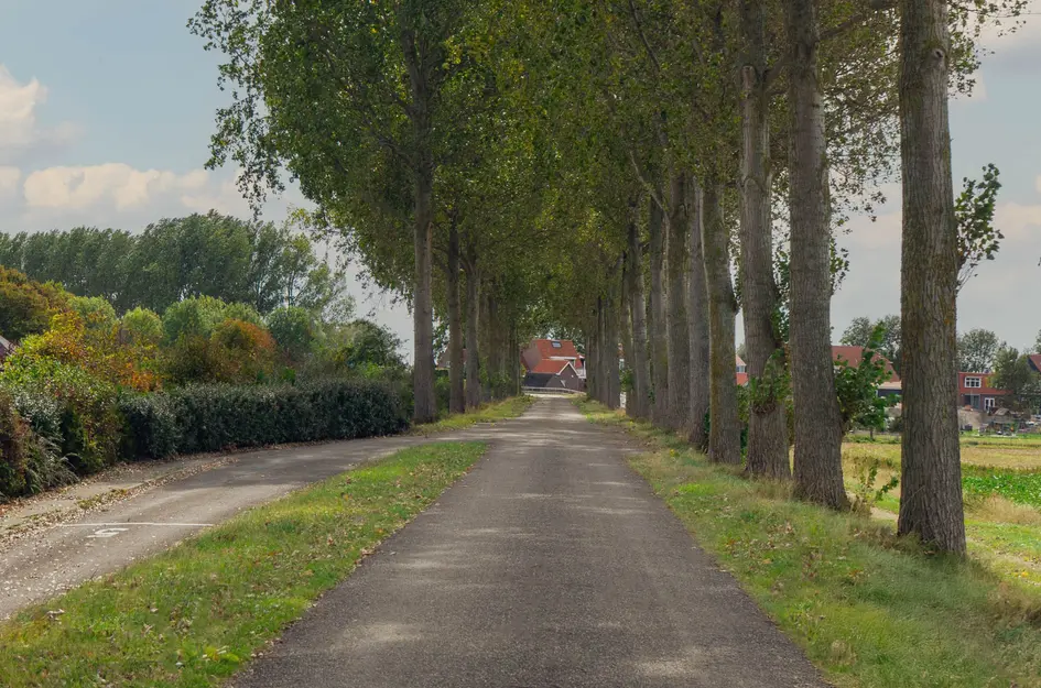 Buurtweg 99