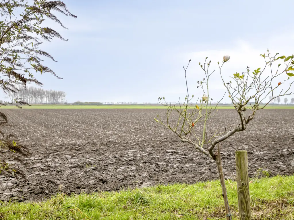 Annavosdijk 1, SINT-ANNALAND