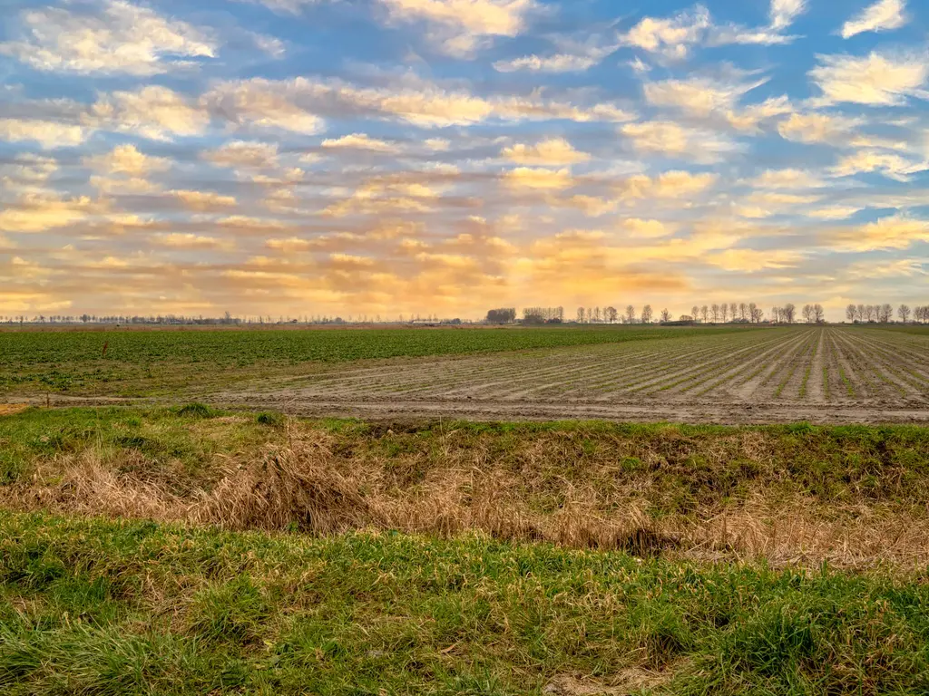 Tjalk 4, SINT-ANNALAND