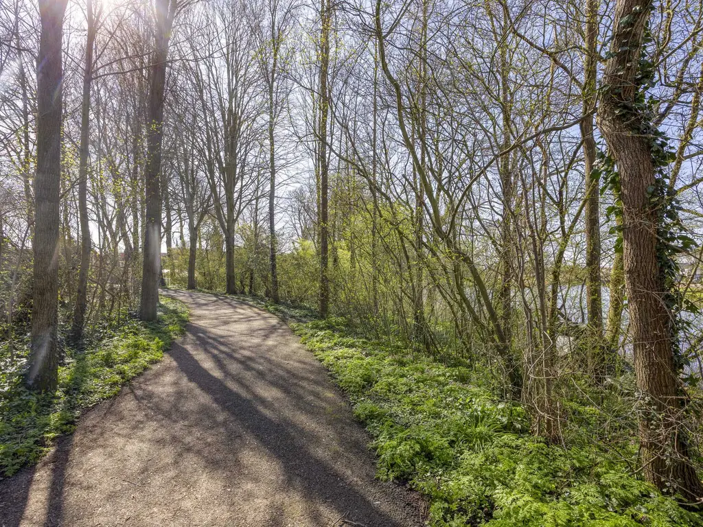 Schuttershof 7, THOLEN