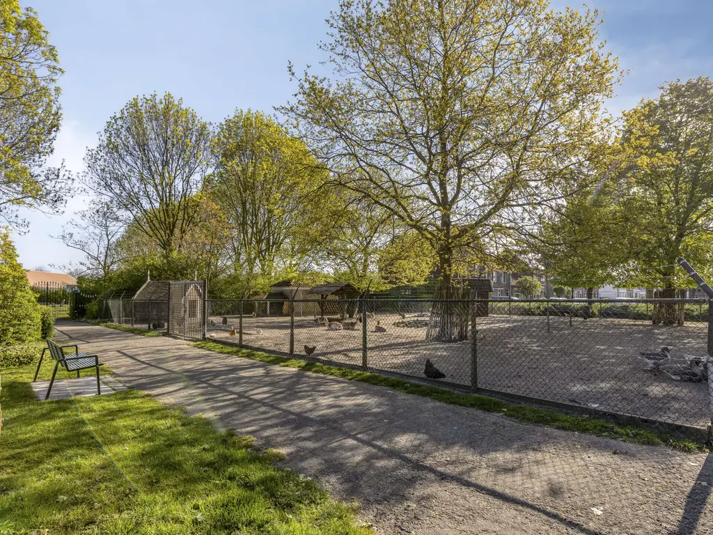 Wilhelminastraat 37, STAVENISSE