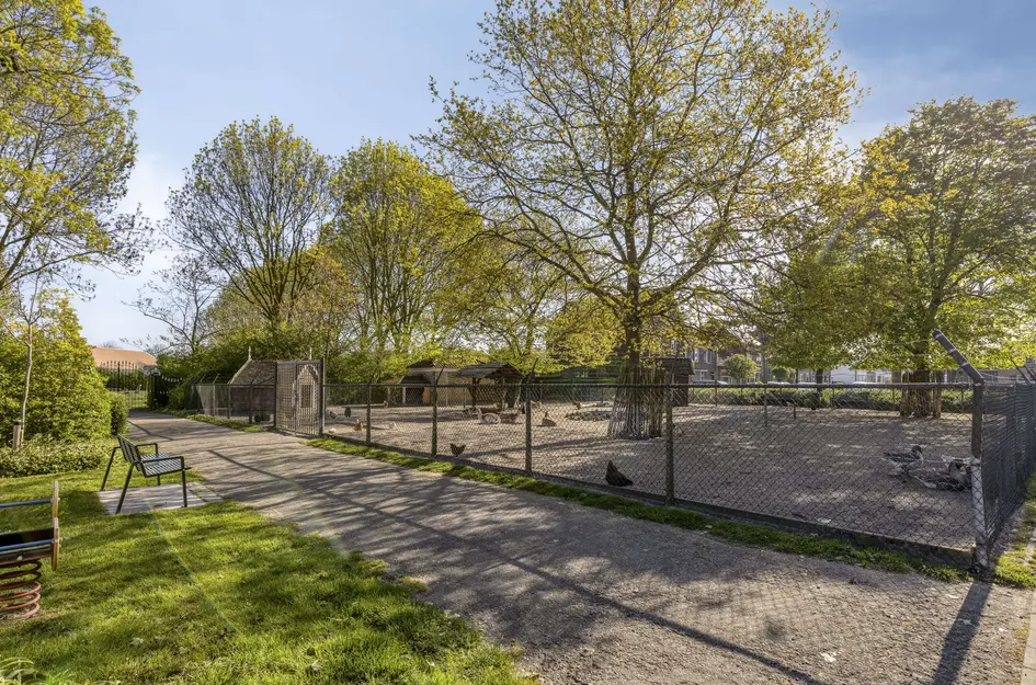 Wilhelminastraat 37