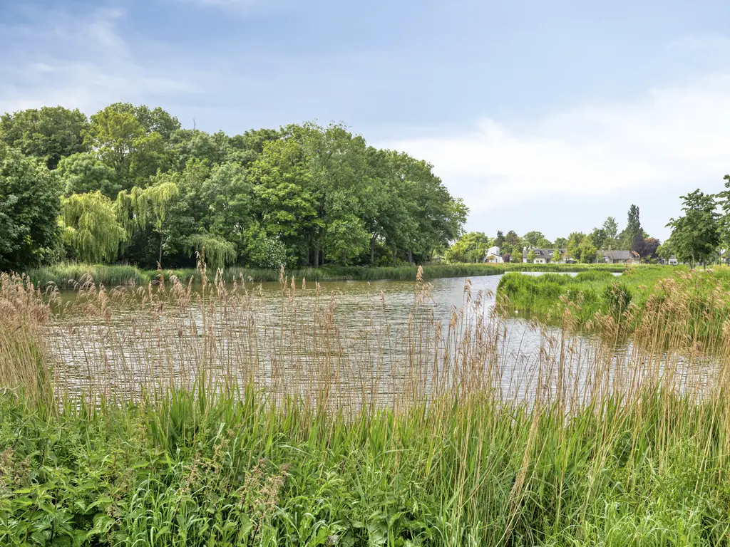 Schuttershof 4, THOLEN